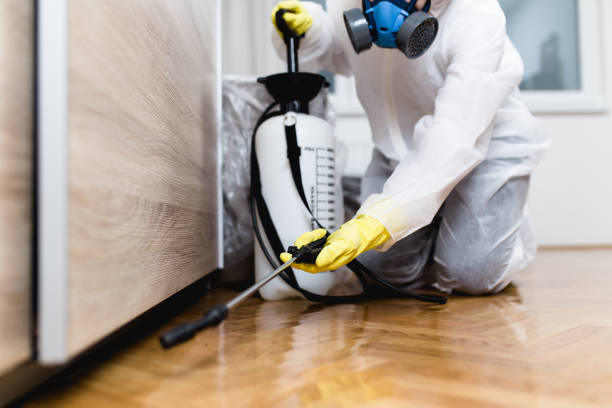 Best Flea Control Services  in Port Labelle, FL