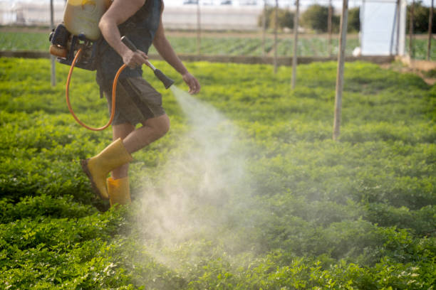 Professional Pest Control in Port Labelle, FL