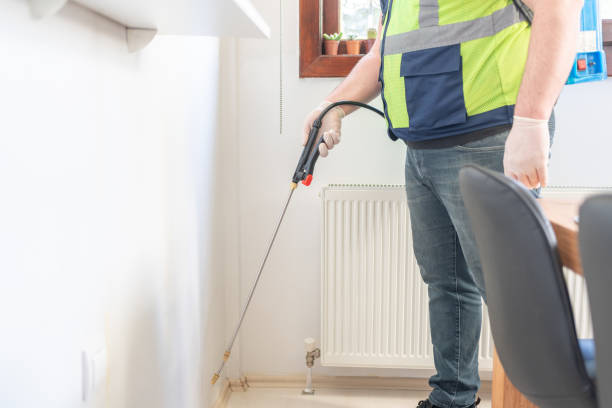 Best Mosquito Control Services  in Port Labelle, FL
